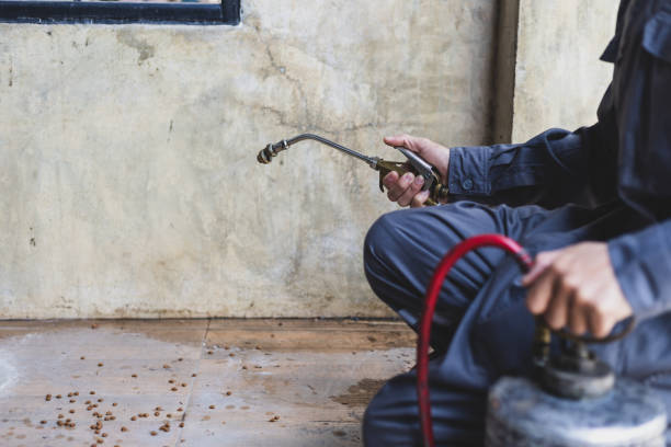 Best Pest Prevention Services  in Blairsville, PA